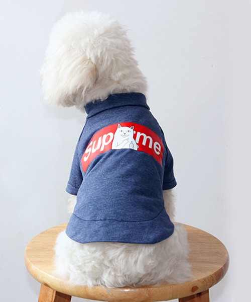 シュプリーム リップンディップ 犬服 Tシャツ